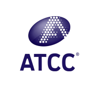 Endothelial Cell Growth Kit-BBE