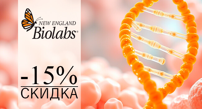 In stock reagents for molecular biology from the manufacturer NEB with a 15% discount