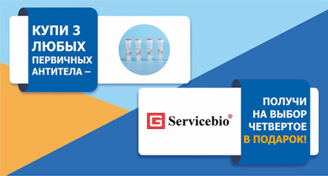Антитела и белковые маркеры Servicebio - лучшее качество по доступной цене!