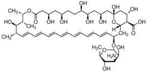 AMPHOTERICIN B SOLUTION 250 ?G/ML IN DE&