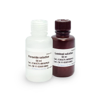 UltraScence Femto Western Substrate Powder (Patent No: US10,711,185)