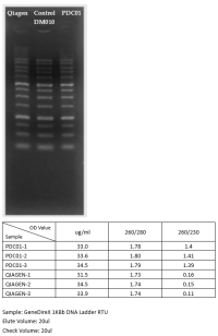 Набор для очистки ДНК из агарозного геля и реакционных смесей "PCR Clean-Up & Gel Extraction", 1 набор