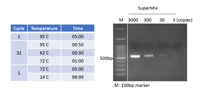 Комплект мастер-микс для ПЦР с высокоточной ДНК-полимеразой "Bio-Helix 2X PCR SuperMix", 10 наборов