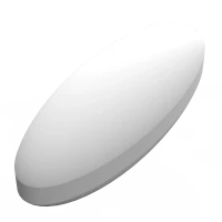 Магнитный якорь, эллипс, Ø22 X 70